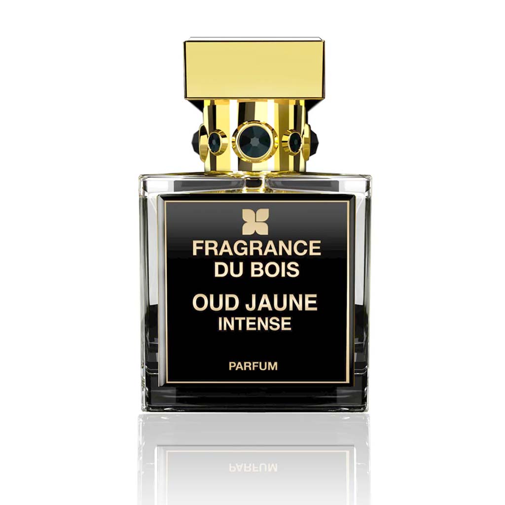 Oud Bleu Intense 50ML By Fragrance Du Bois