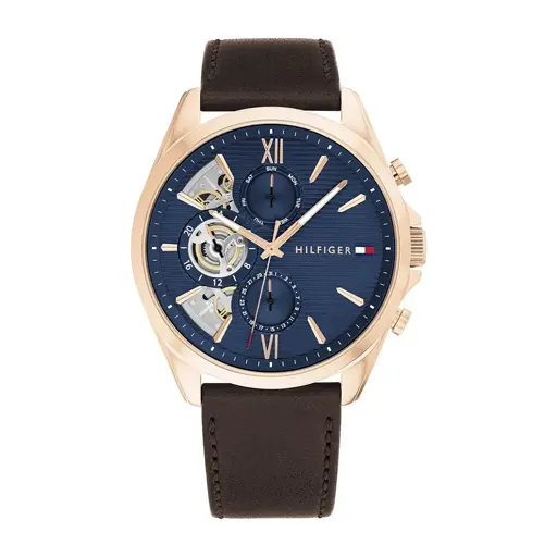 Tommy Hilfiger men watch TH419 (Brown)